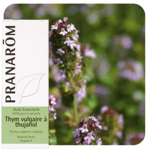 Pranarom Huile Essentielle Thym Vulgaire À Thujanol 5ml