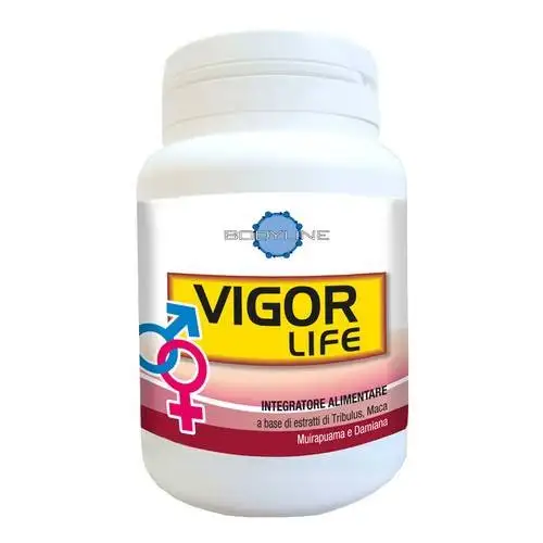 VIGOUR Life LIGNE CORPS 40 Gélules