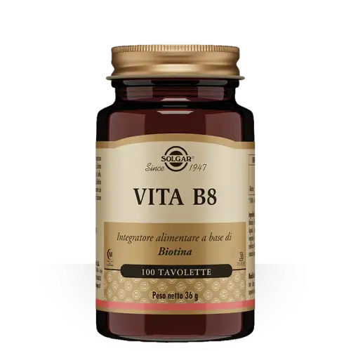 VIE B8 100TAV